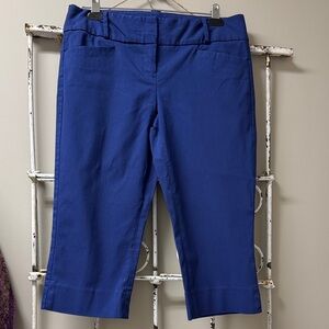 The Limited Exact Stretch Capris